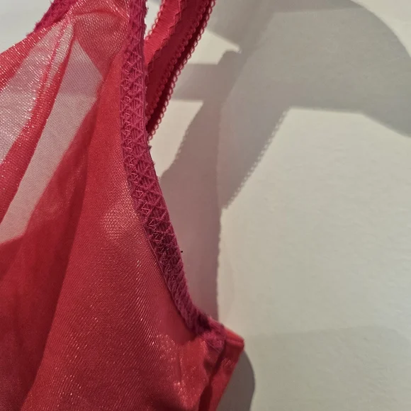 Sheer Red Coral Bra - Picture 3 of 8